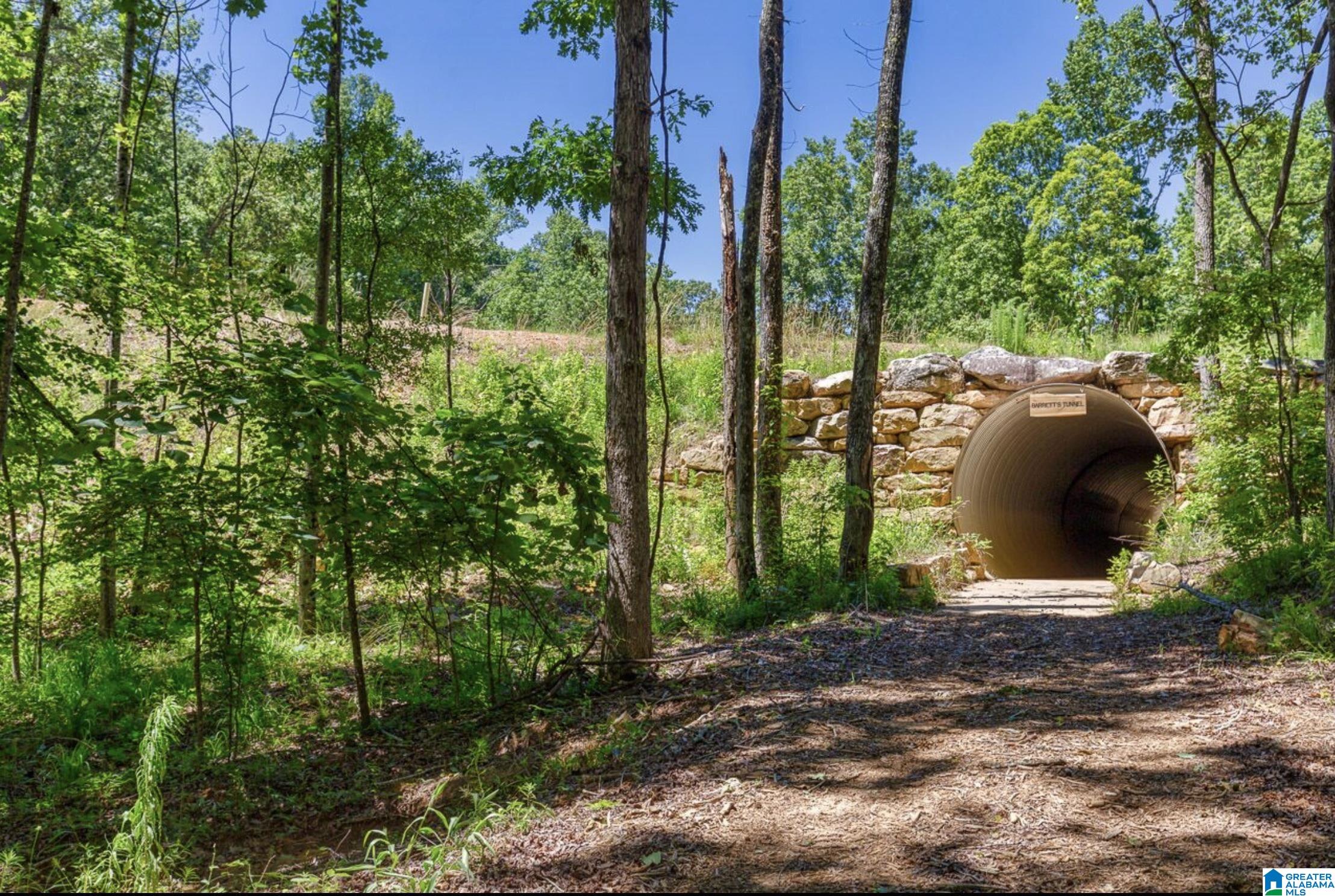 Photo 1 of 6 — 3095 OAKRIDGE WAY 61, CHELSEA, AL 35043