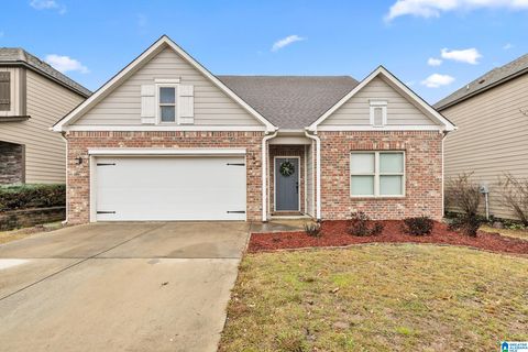 1045 MEDINAH DRIVE CALERA AL 35040