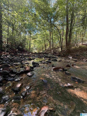 10019 COUNTY ROAD 19 # 76, HEFLIN, AL 36264 - Image fe7a9c28ccc7fd255c2b4c36c0cfee4a/3053004441