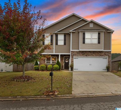 325 BLACKBERRY BOULEVARD SPRINGVILLE AL 35146