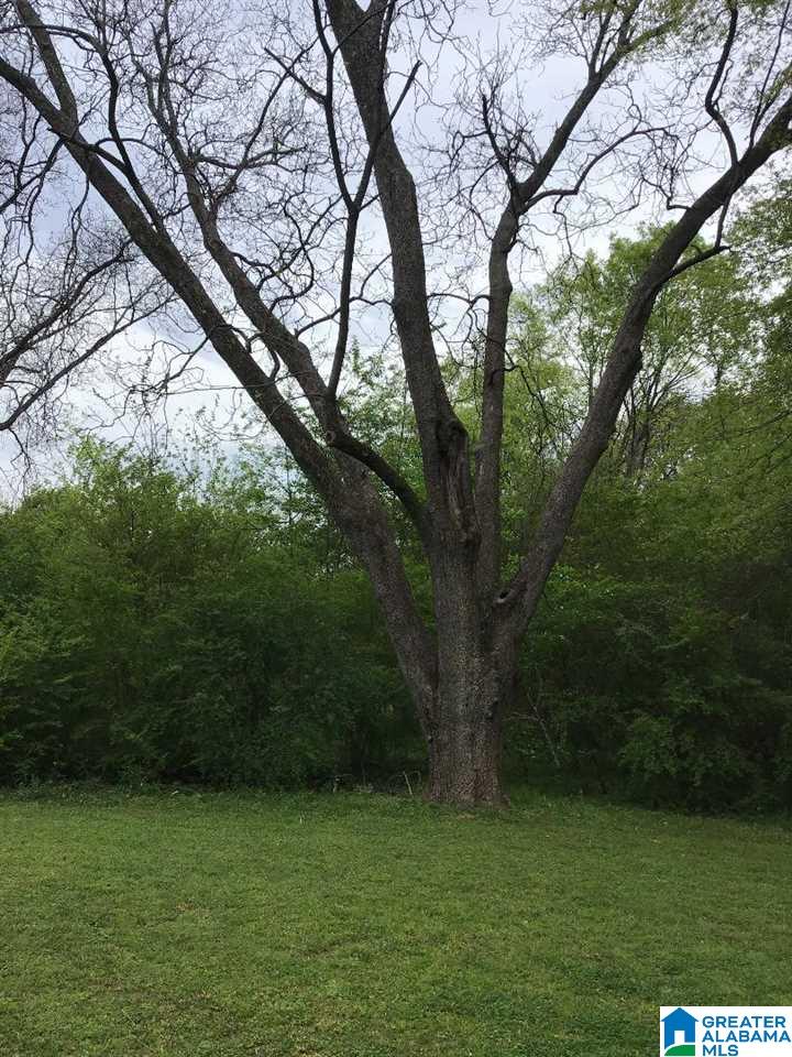 Photo 1 of 1 — 421 14TH PLACE 0, PLEASANT GROVE, AL 35127