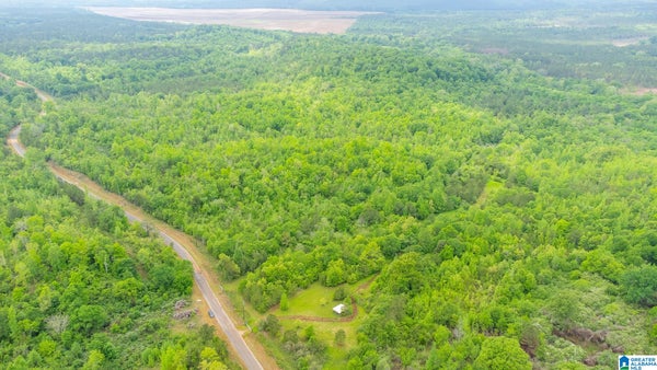 1432 MARDISVILLE RD # 0, TALLADEGA, AL 35160 - Image ffe39474d2ab1425cd71ec1b9d87ca53/2670839432