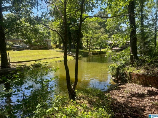 385 COBB RD # 1, OHATCHEE, AL 36271 - Image fff089befe8be95ea05e3a6f1dbed460/2530641748