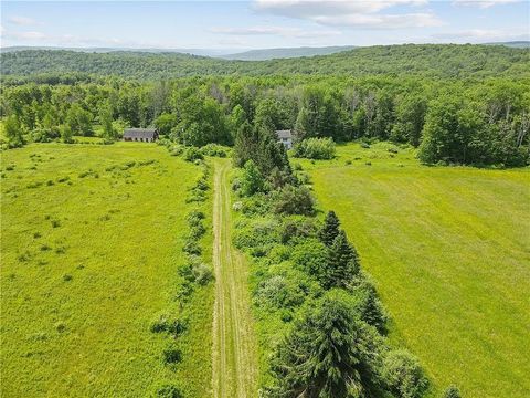 90 Parsons Hill Road Berkshire NY 13736