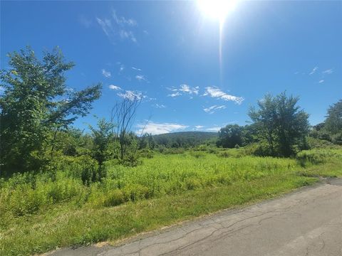 Vacant Land For Sale - 112 Carlin Road<br/> Broome County, Conklin, NY 13748