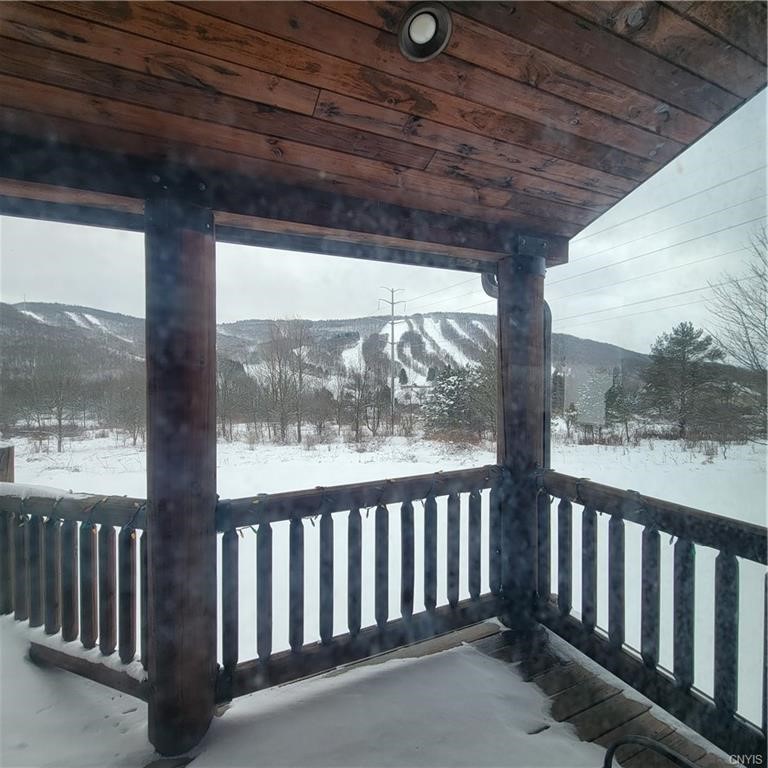 2050 Kypriotis Drive, Cortland, New York image 24