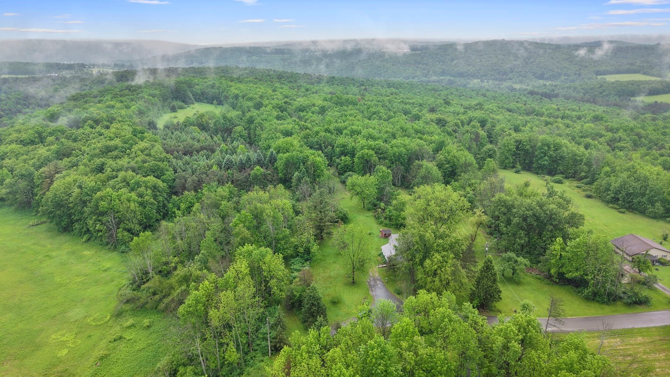 600 Miller Road, Newark Valley, New York image 23