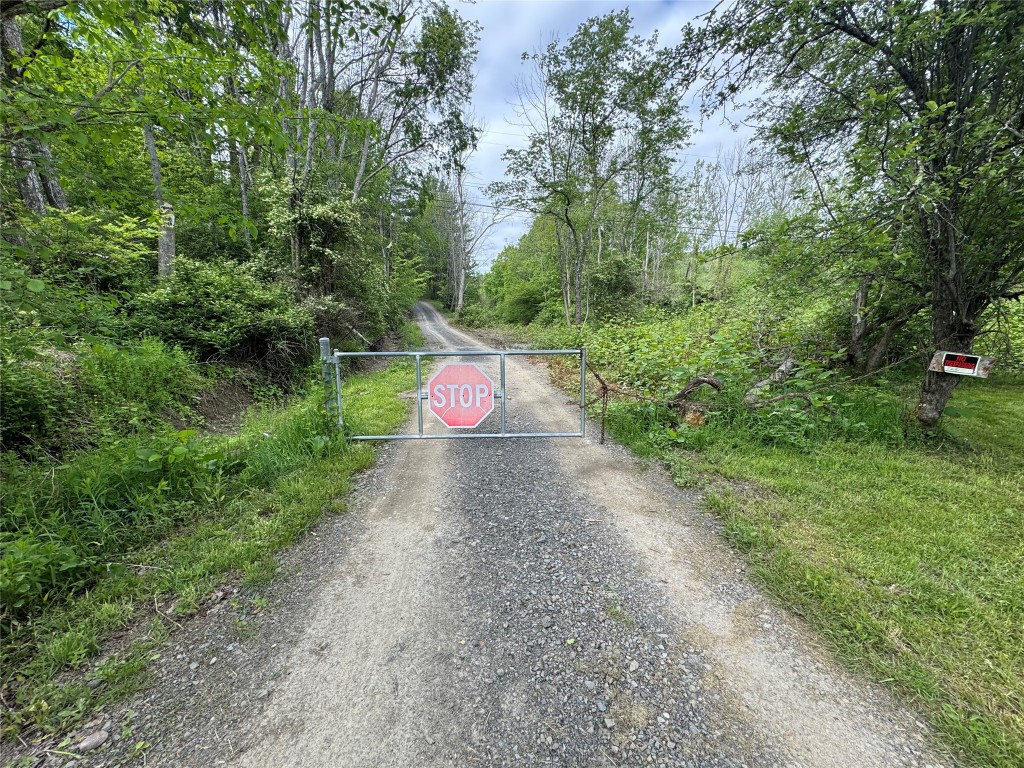 655 & 657 Fox Farm Road, Windsor, New York image 45