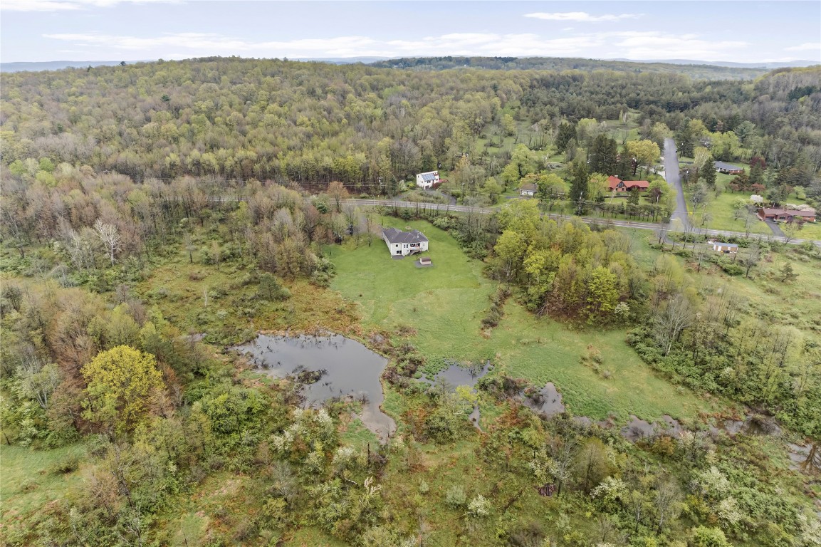 1519 Hawleyton Road, Binghamton, New York image 38