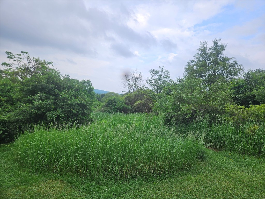 00 Ballou Road, Owego, New York image 4
