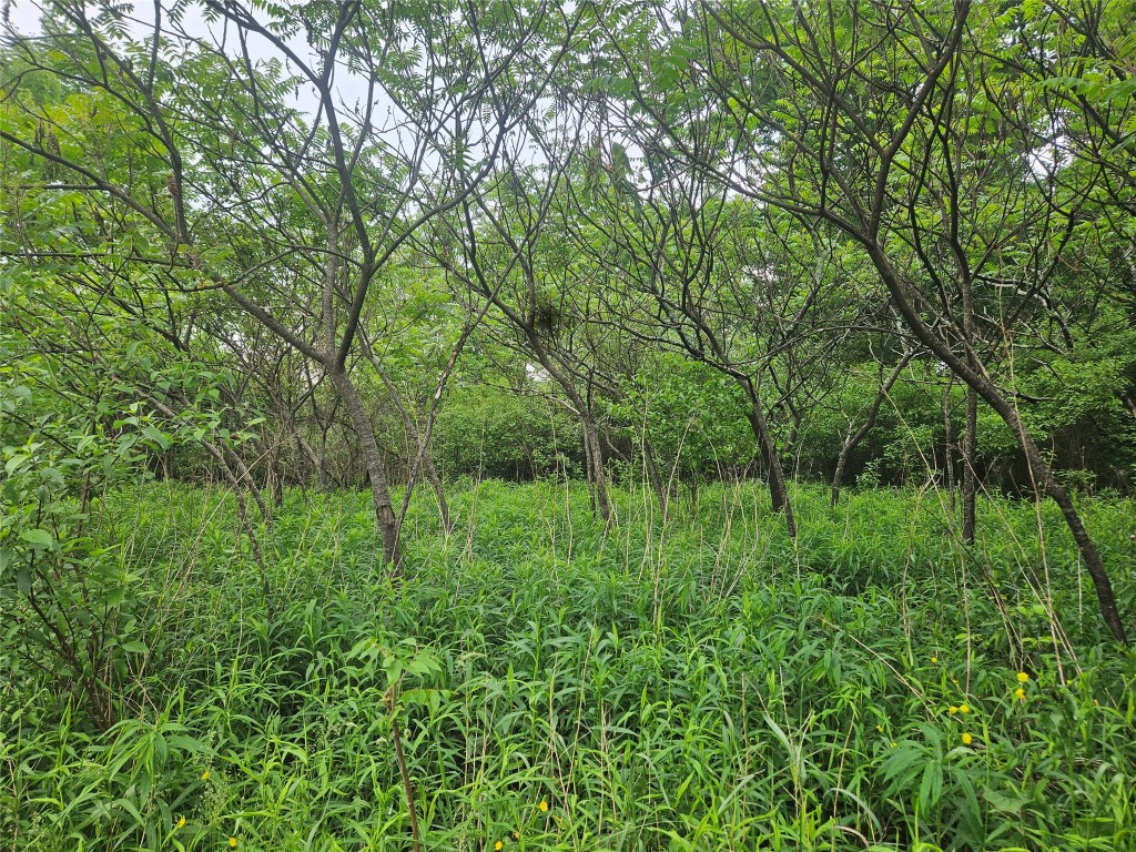 00 Ballou Road, Owego, New York image 2