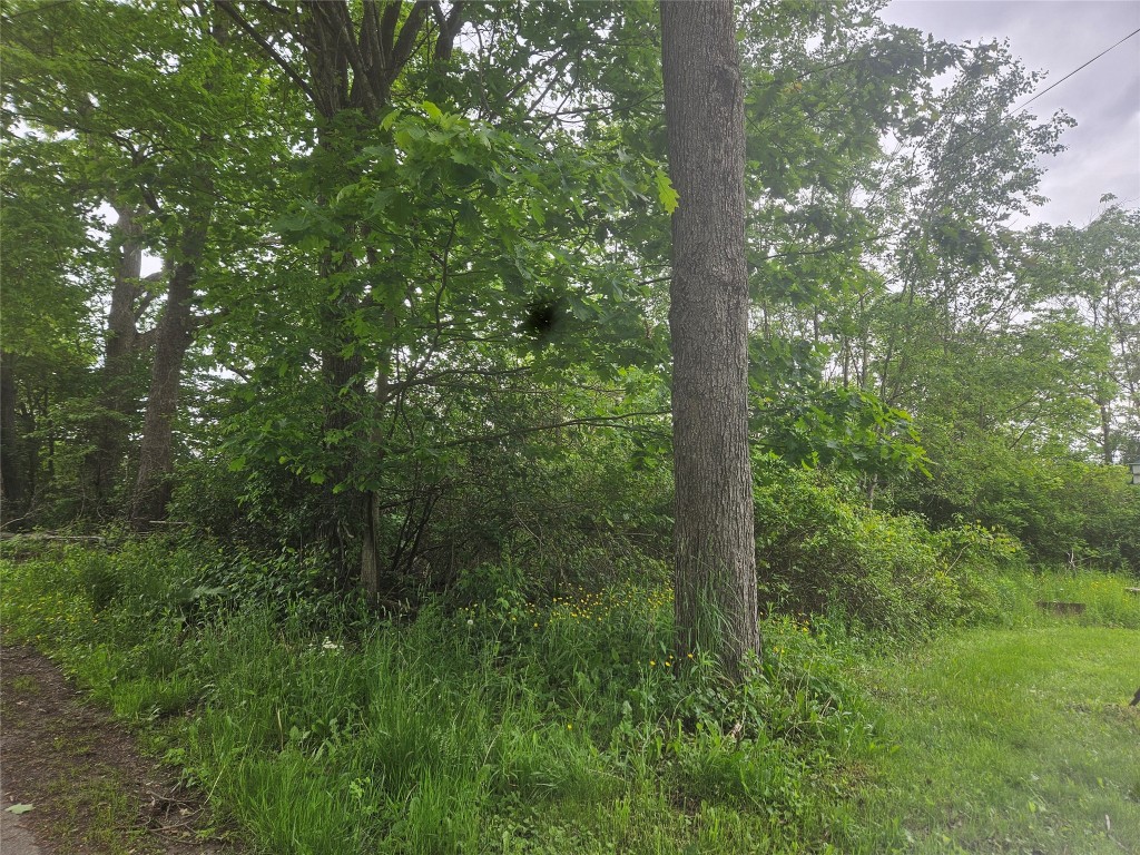 00 Ballou Road, Owego, New York image 7