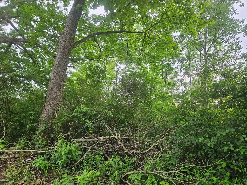 00 Ballou Road, Owego, New York image 3