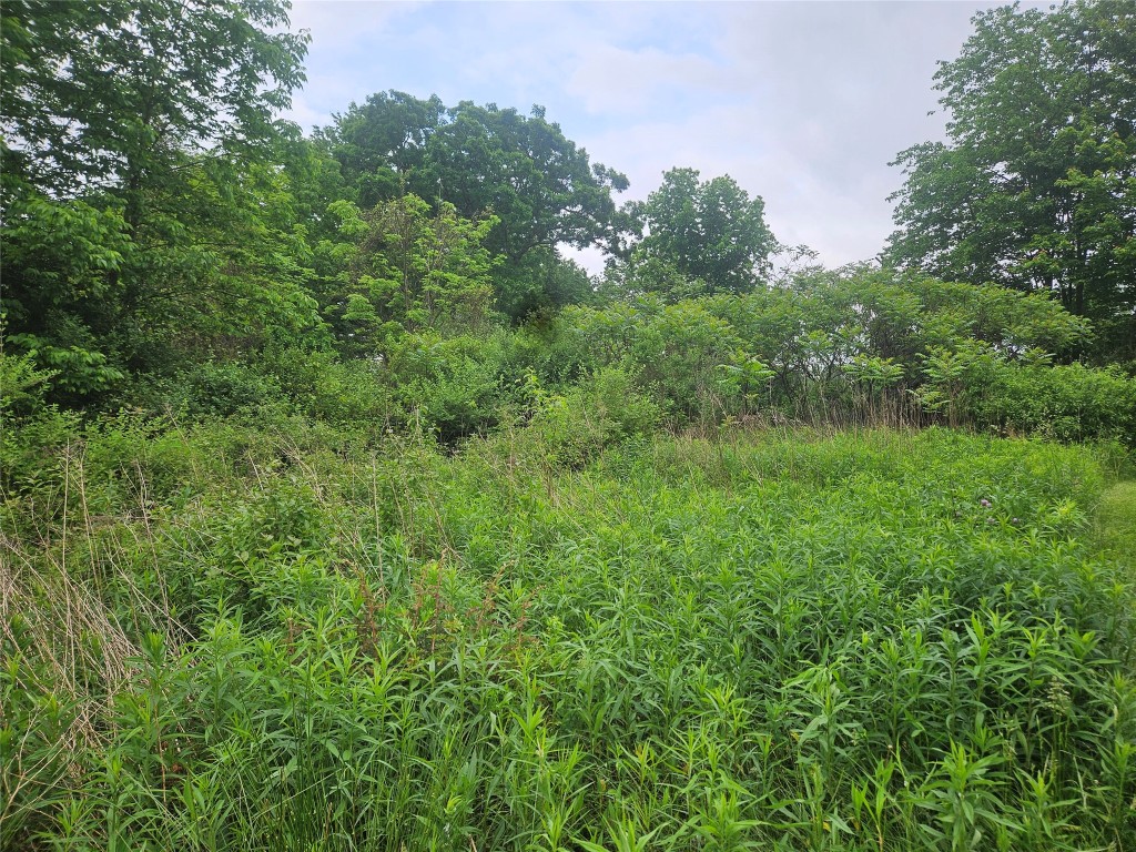 00 Ballou Road, Owego, New York image 5