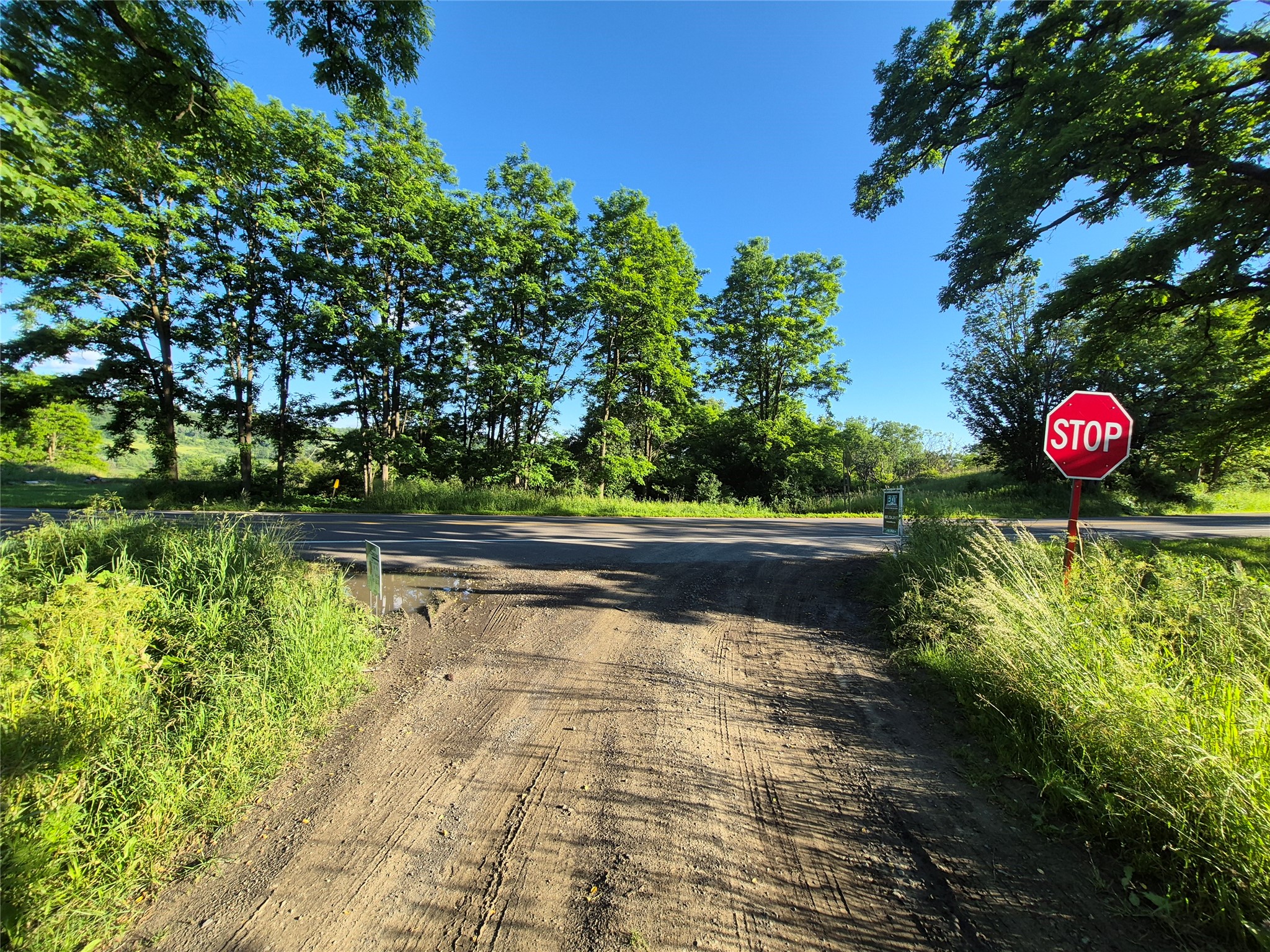 3545 Hubbards Hill Road - Photo 4