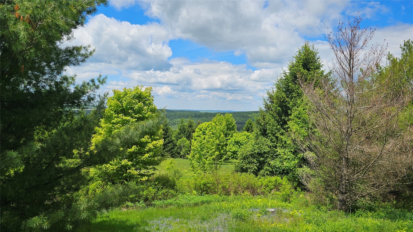 746 Gospel Road, Guilford, New York image 9