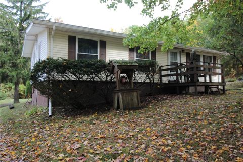 Homes For Sale - 569 Trim Street<br/> Kirkwood, NY 13795