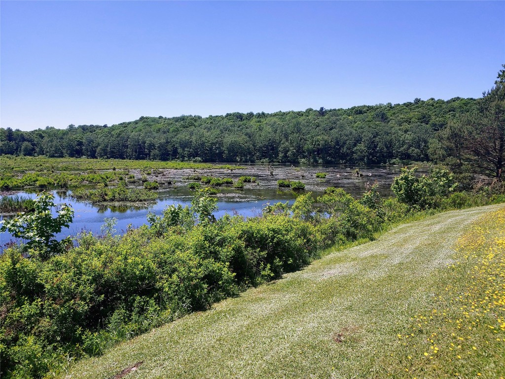 4081 State Route 1001, Susquehanna, Pennsylvania image 44