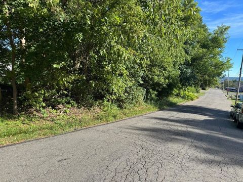 Vacant Land For Sale - 720 Squires Avenue<br/> Endicott, NY 13760