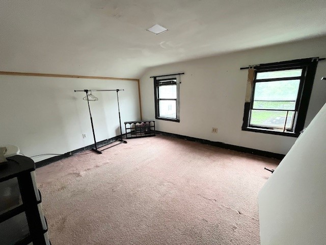 116 Chestnut Street, Owego, New York image 21