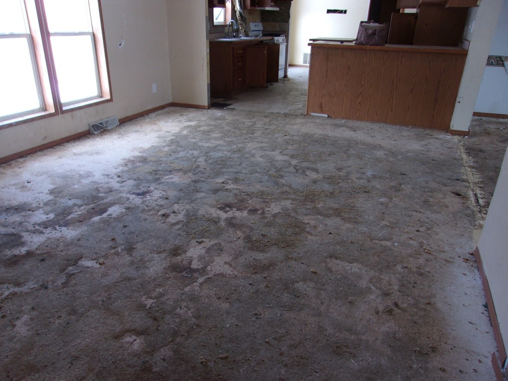 80 Wiggins Road, Owego, New York image 14