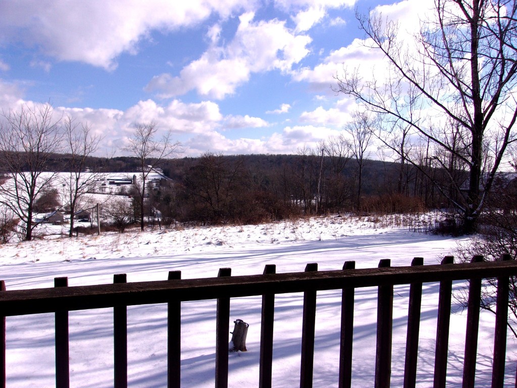 80 Wiggins Road, Owego, New York image 4