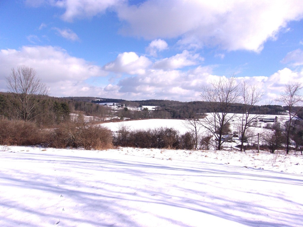 80 Wiggins Road, Owego, New York image 2