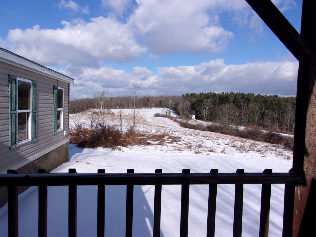 80 Wiggins Road, Owego, New York image 3