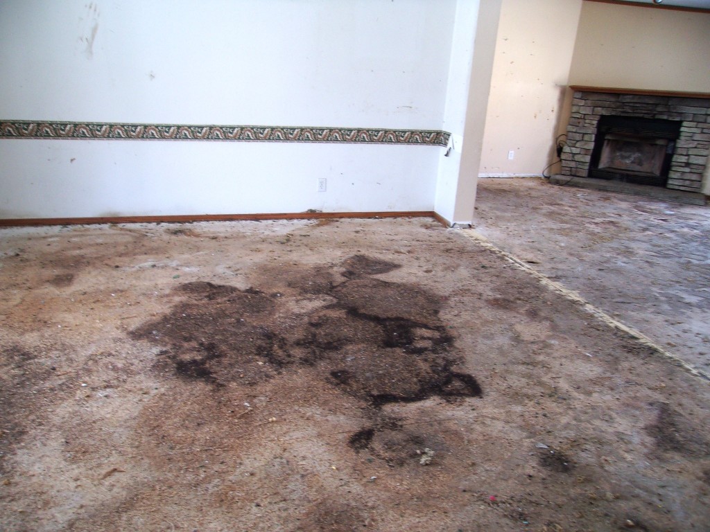 80 Wiggins Road, Owego, New York image 16
