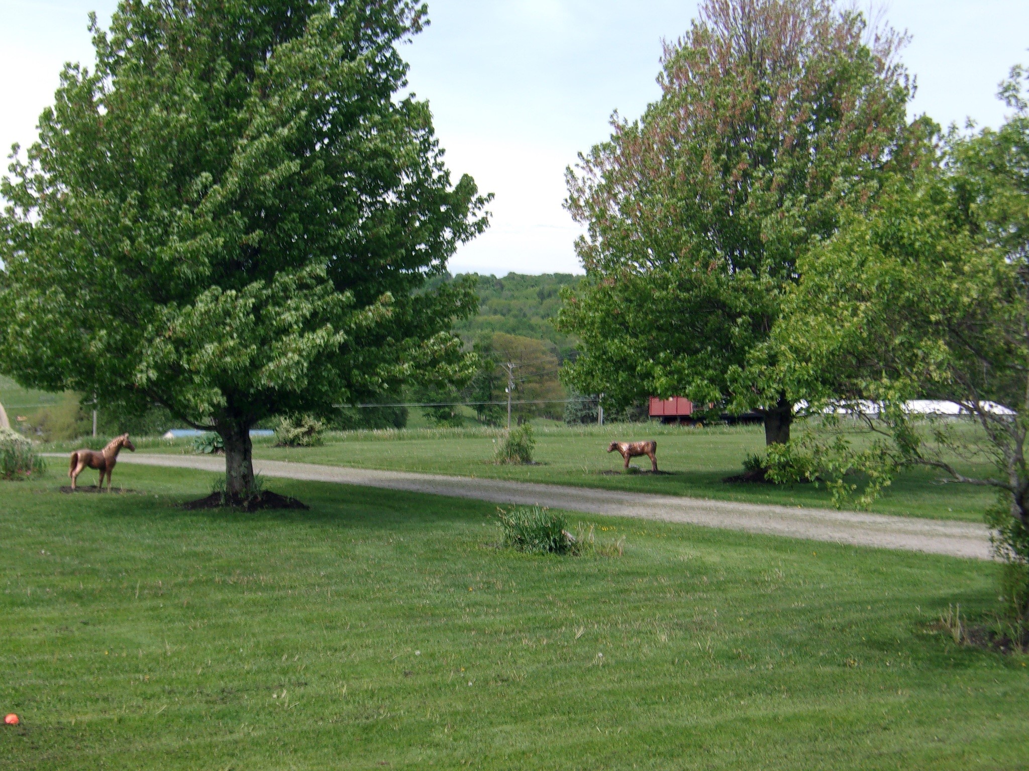 114 Fred Catlin Road