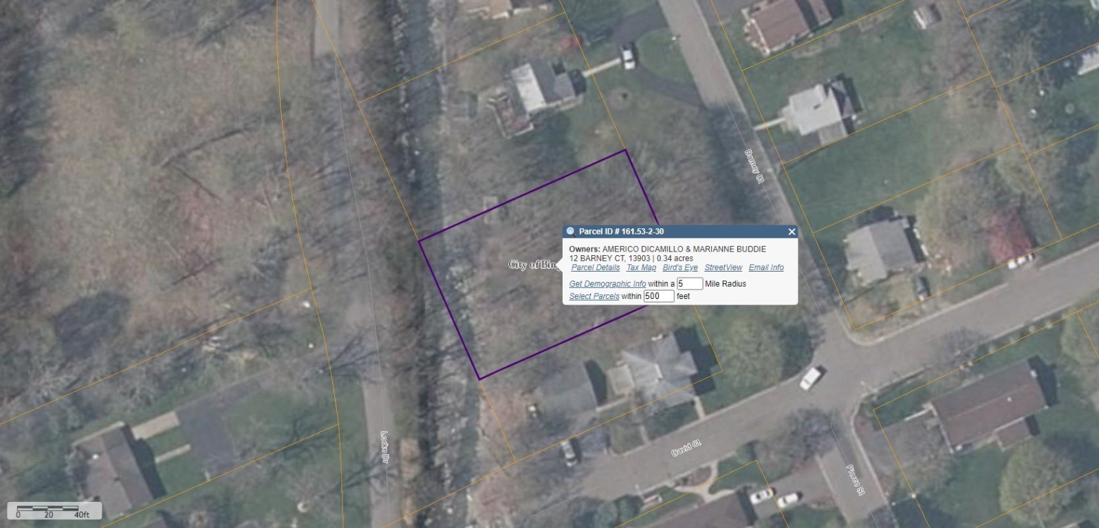 12 Barney Court, Binghamton, New York image 3