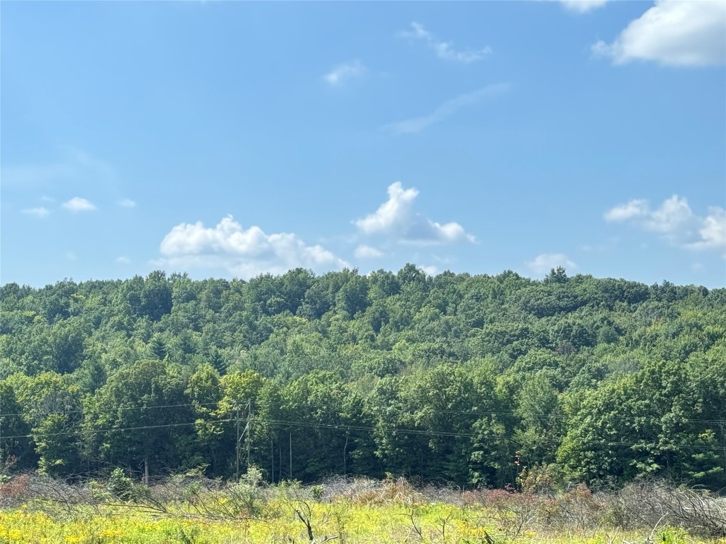 840 S Jensen Road, Vestal, New York image 10