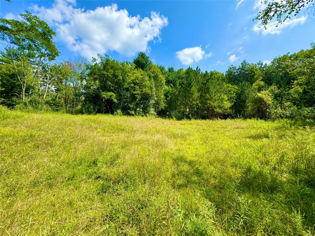 840 S Jensen Road, Vestal, New York image 2