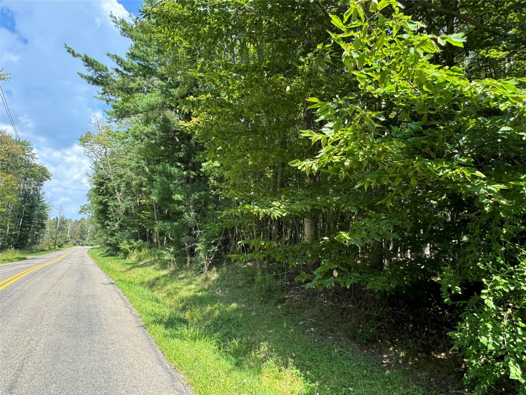 840 S Jensen Road, Vestal, New York image 4