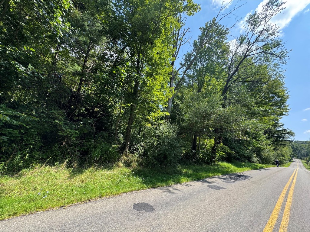 840 S Jensen Road, Vestal, New York image 6