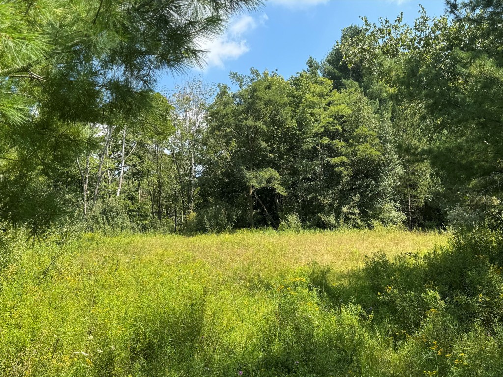 840 S Jensen Road, Vestal, New York image 7