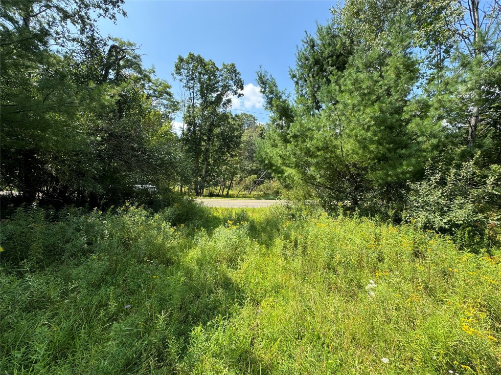 840 S Jensen Road, Vestal, New York image 8