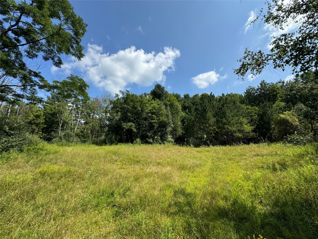 840 S Jensen Road, Vestal, New York image 3