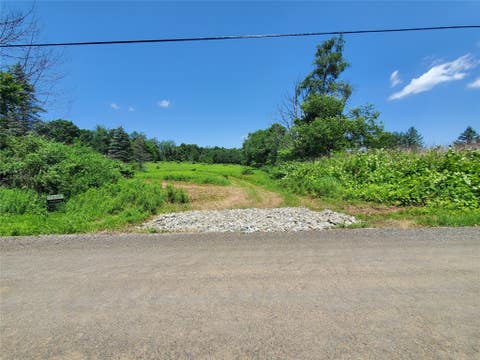 Vacant Land For Sale - 000 Ebb's Corner Road<br/> Susquehanna County, New Milford, PA 18834