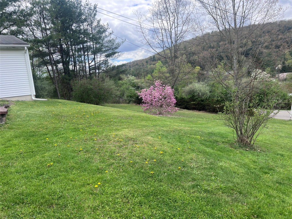471 Foley Road, Windsor, New York image 40
