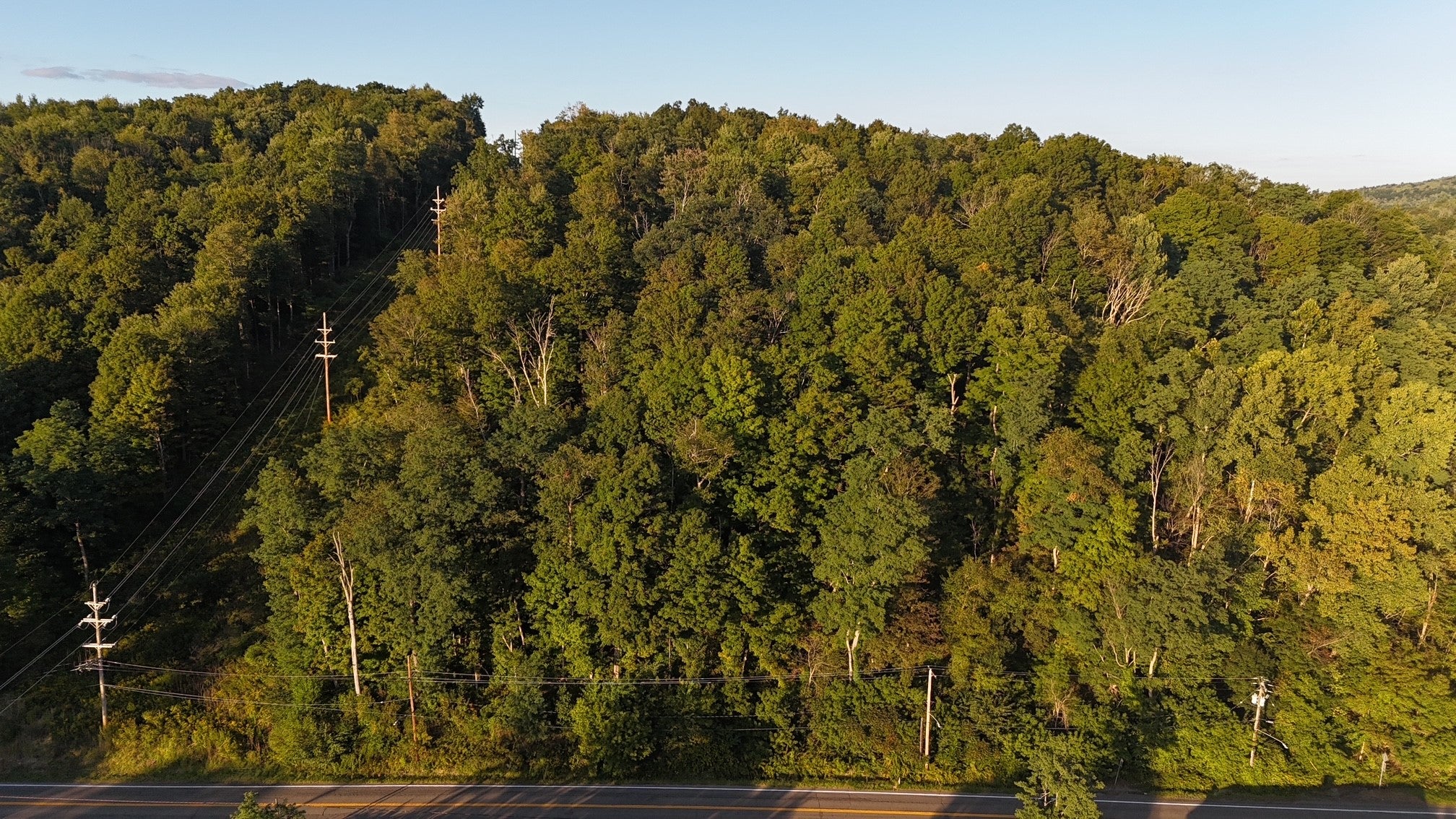 6582 State Route 79 Land E - Photo 2
