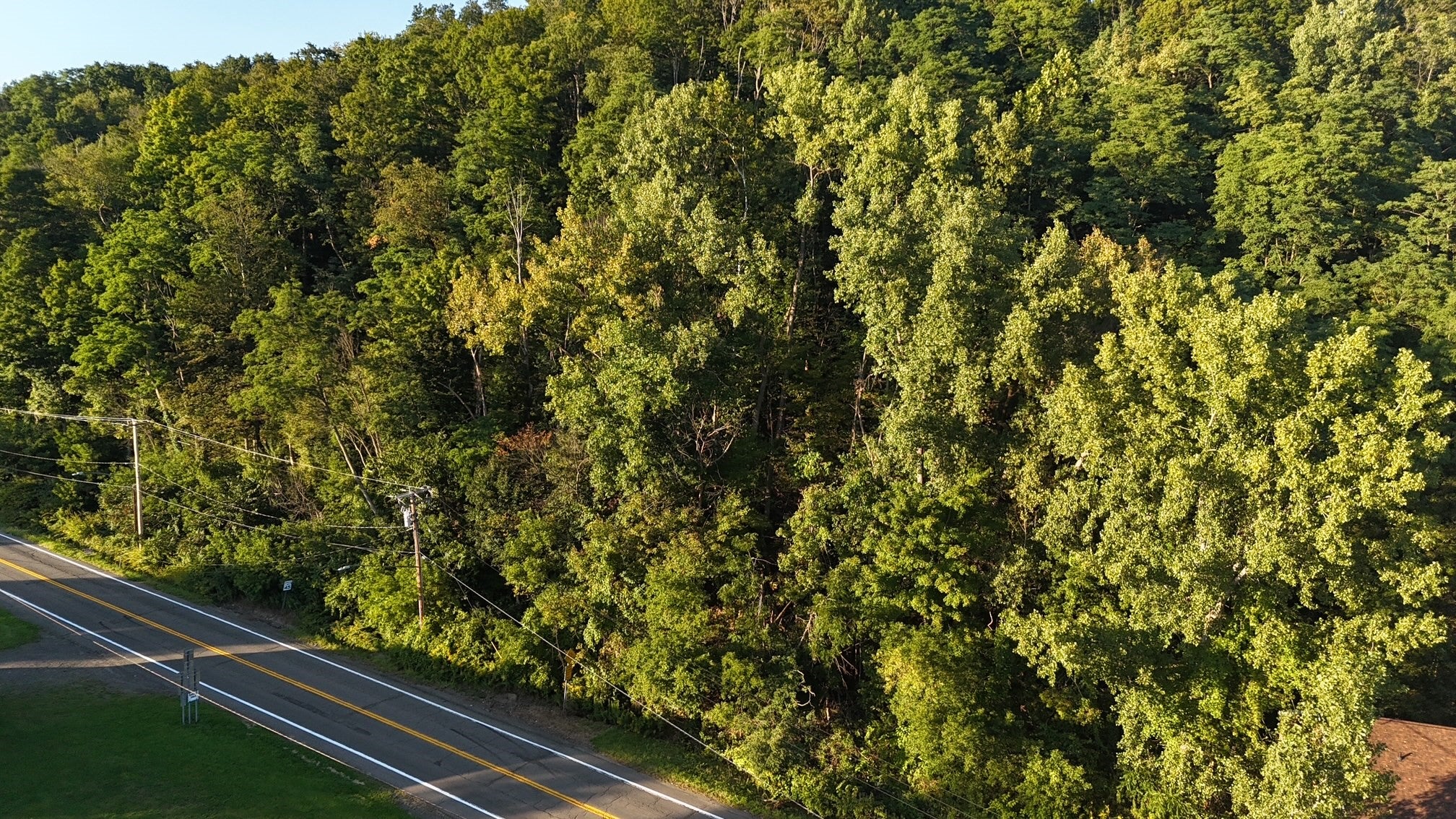 6582 State Route 79 Land E - Photo 4