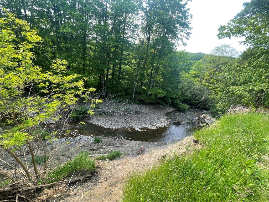 3687 Saddlemire Rd, Binghamton, New York image 10