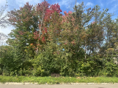 Vacant Land For Sale - 425 Country Knoll Dr Dr<br/> Endicott, NY 13760