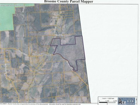 452 North Street Triangle NY 13778