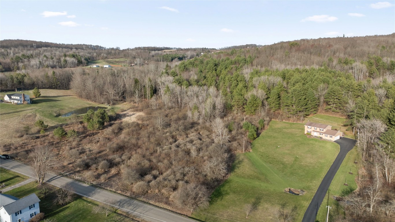 Foster Road, Owego, New York image 4