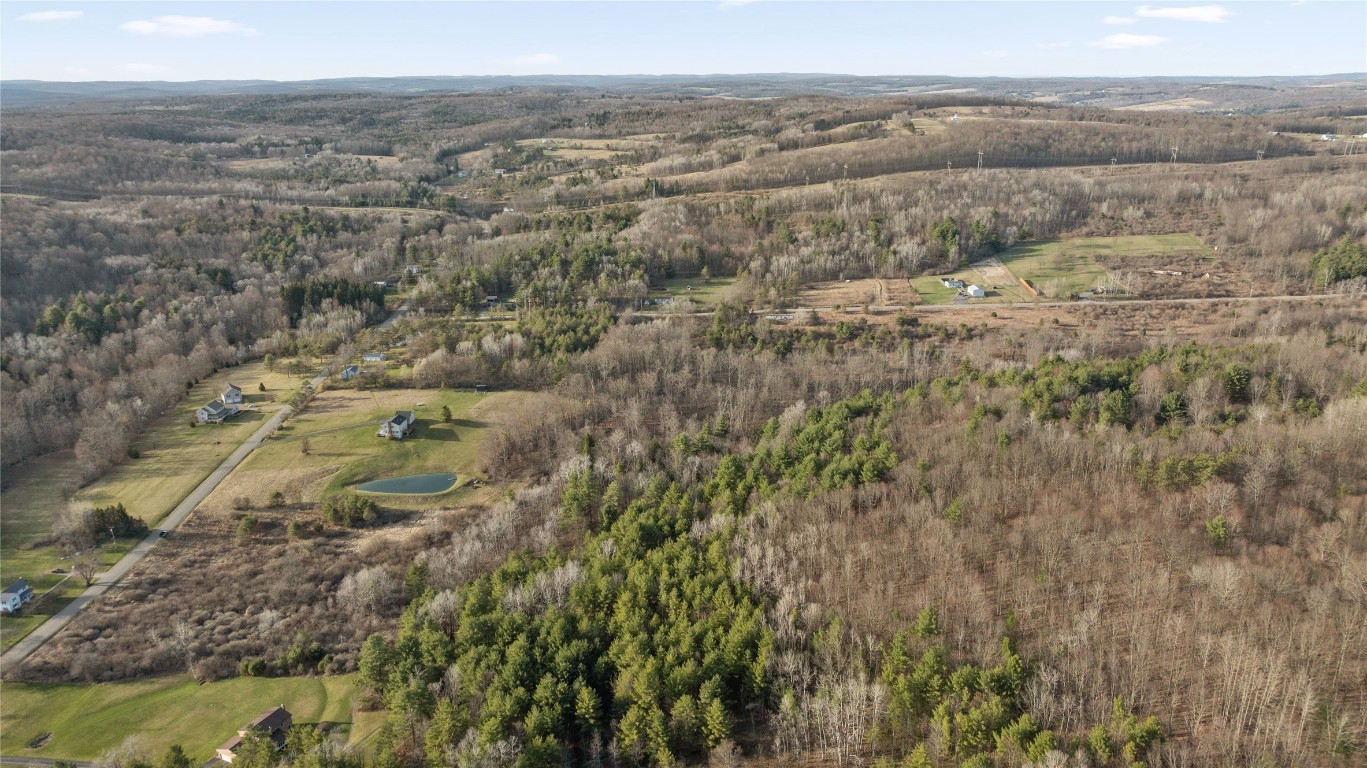 Foster Road, Owego, New York image 10