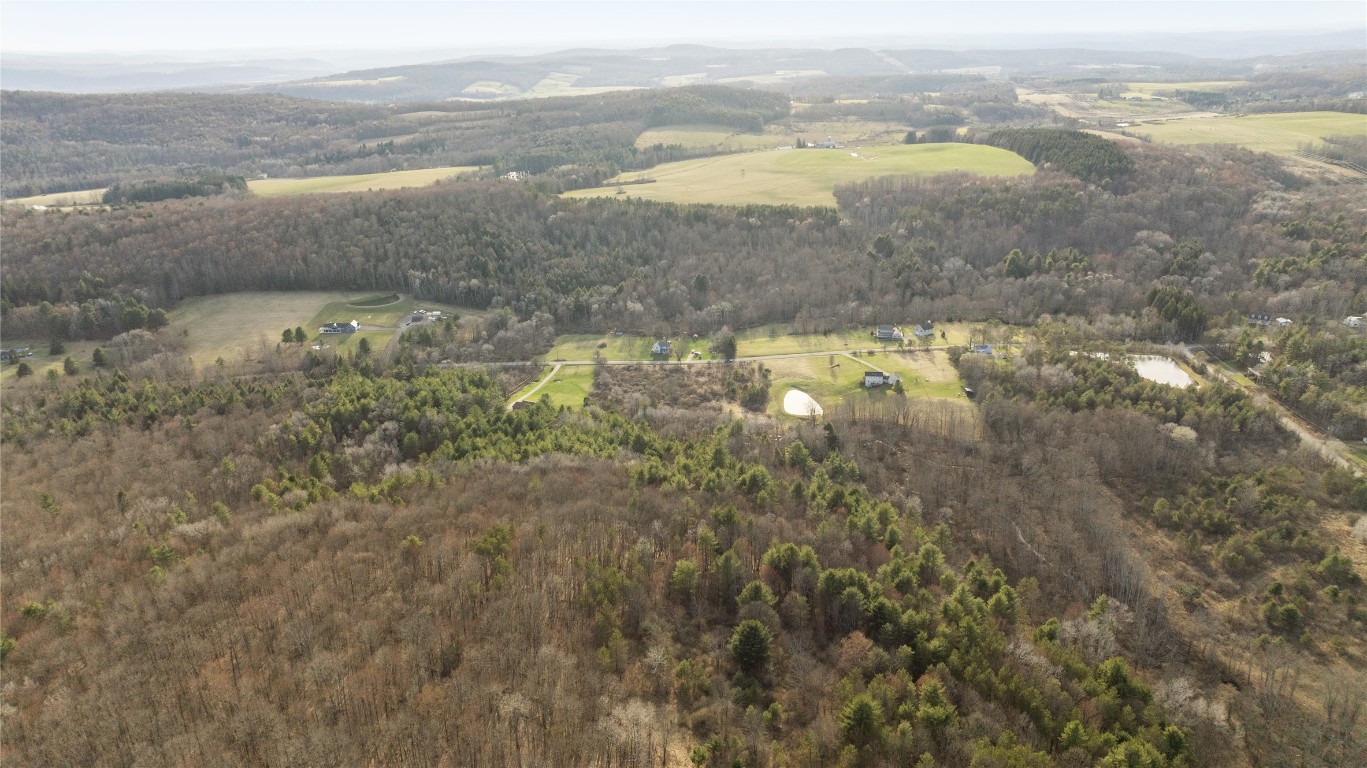 Foster Road, Owego, New York image 8