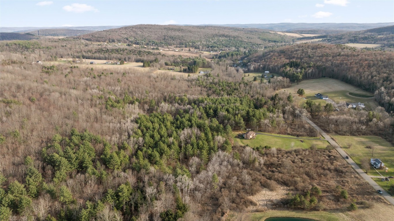 Foster Road, Owego, New York image 2