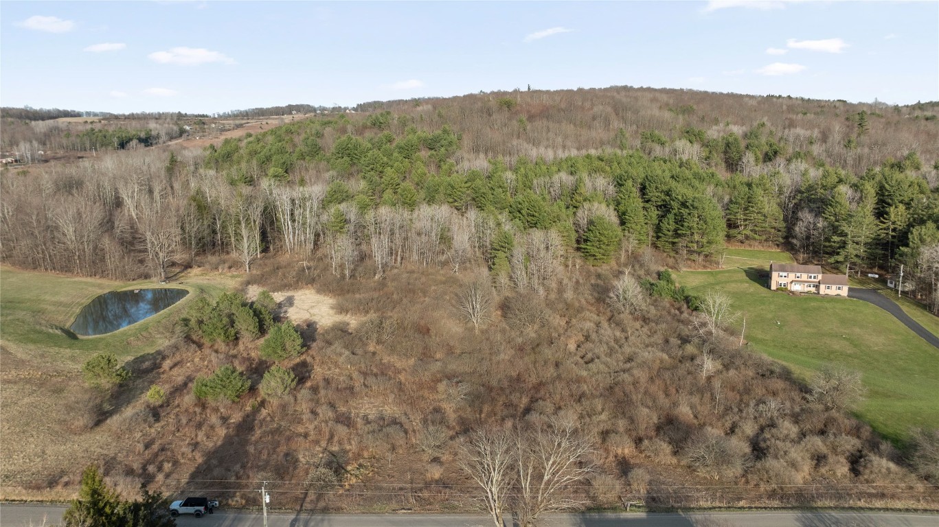 Foster Road, Owego, New York image 11